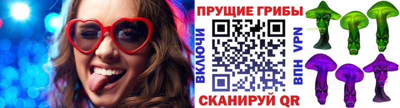нарко площадка официальный сайт  Сочи  Псилоцибиновые грибы прущие грибы  где продают наркотики  omg ССЫЛКА 